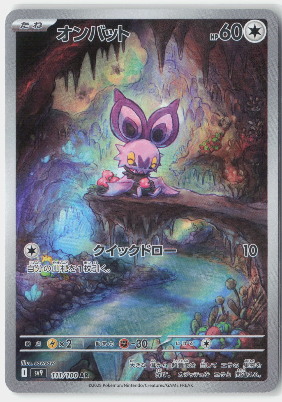 Noibat 111/100 – SV9: Partnerzy w walce